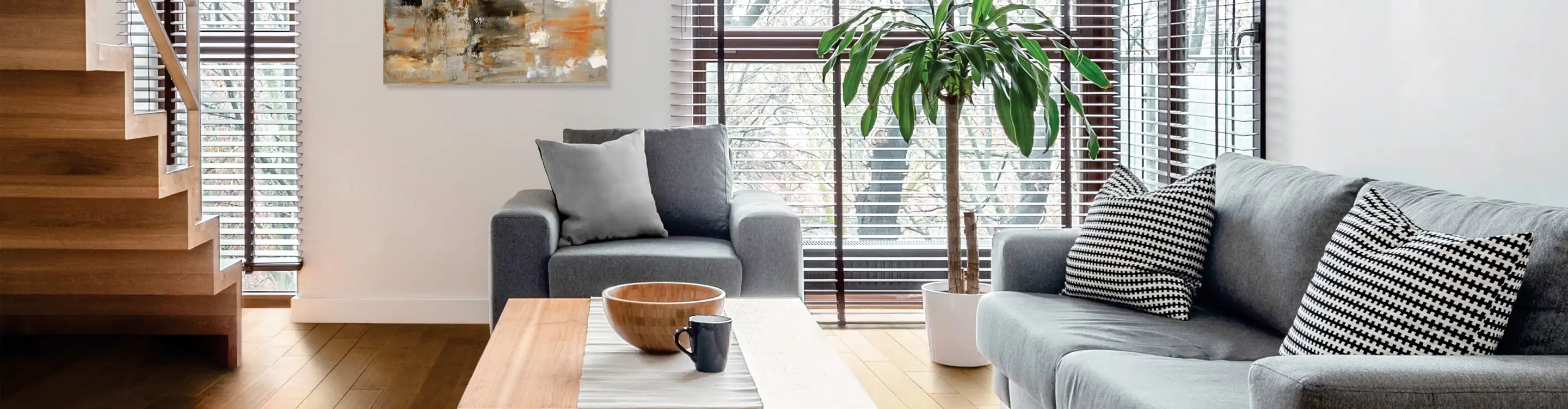 Sunny room with blinds and plants. 